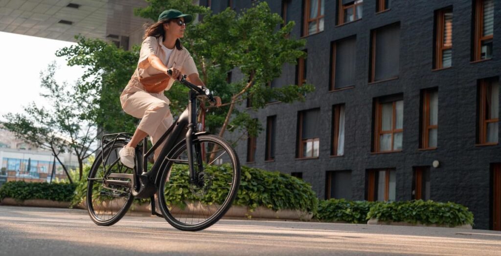 paseo e-bike